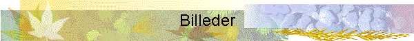 Billeder