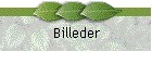 Billeder