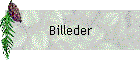 Billeder