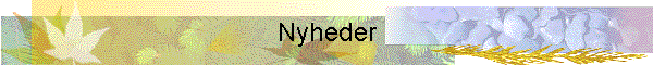 Nyheder